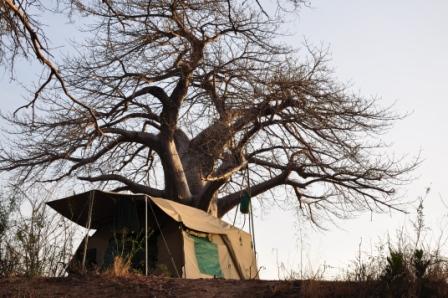 Camping Safaris - Ruaha Camp