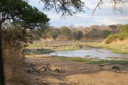 Safaris in Tansania - Ruaha Nationalpark